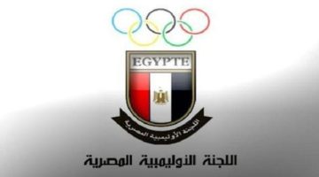 محكمة الجنح الاقتصادية تعاقب رويدا أشرف بتهمة نشر أخبار كاذبة.. و10 ملايين جنيه تعويض