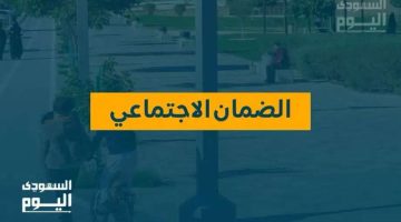 كيف تستثمر قدراتك وتحقق الاستقلال المالي من خلال التمكين في الضمان الاجتماعي؟