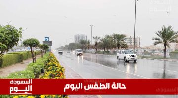 طقس السعودية اليوم الخميس 24 أبريل 2025: حرارة مرتفعة وأجواء صافية
