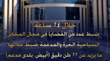 ضبط 22 طن دقيق بلدى مدعم في حملات تموينية خلال 24 ساعة