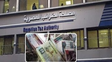 “اللى فات مات”.. خطوات فتح ملف ضريبى للشركات غير المسجلة بدون غرامات
