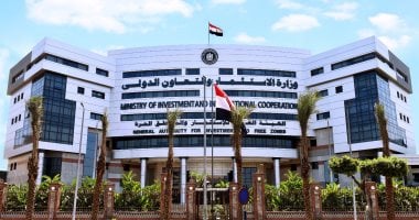 ما هى اختصاصات مركز وكلاء المستثمرين بهيئة الاستثمار؟