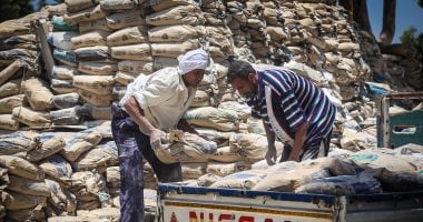 شركات الأسمنت تقود صعود قطاع مواد البناء بالبورصة بنسبة 9.1% بسبب نمو الطلب