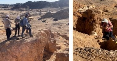 البترول: وفد باريك جولد يجرى زيارة لمواقع تعدينية بالصحراء الشرقية