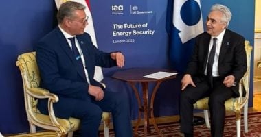 وزير البترول يبحث مع وكالة الطاقة الدولية تنفيذ مشروعات لخفض الكربون