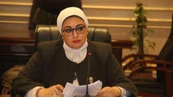 سولاف درويش: زيارة الرئيس السيسي لجيبوتي تؤكد اهتمام مصر بأمن القرن الإفريقي