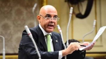 برلماني يطالب بالتوسع في الإفراج الجمركي لمبادرة استيراد سيارات المصريين بالخارج