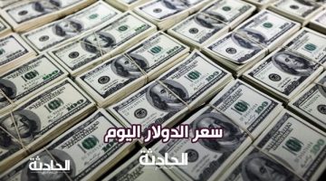 أمام الجنيه.. استقرار سعر الدولار اليوم الخميس 24 أبريل بالبنوك المصرية
