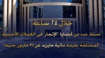 ضبط 7 مليون جنيه حصيلة اتجار النقد الأجنبي خلال 24 ساعة