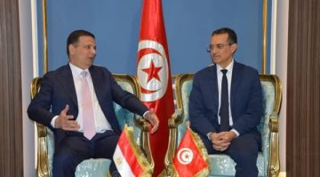 وزيرا الزراعة في مصر وتونس يتفقان على تعزيز التعاون المشترك