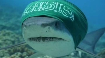 هجوم قرش يخلف ضحية وأزمة إعلامية.. إسرائيل تتهم الذكاء الاصطناعي بالتحريض