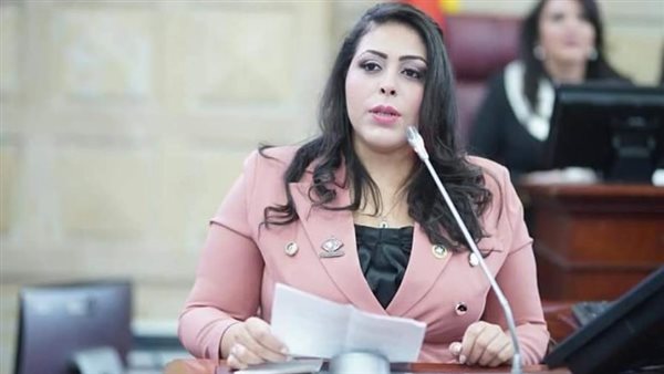 مرثا محروس: رقمنة العقارات تحمي الملكيات الخاصة والعامة من التعديات أو التلاعب