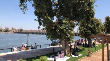 الأرصاد الجوية تعلن تفاصيل حالة الطقس في مصر حتى نهاية الأسبوع