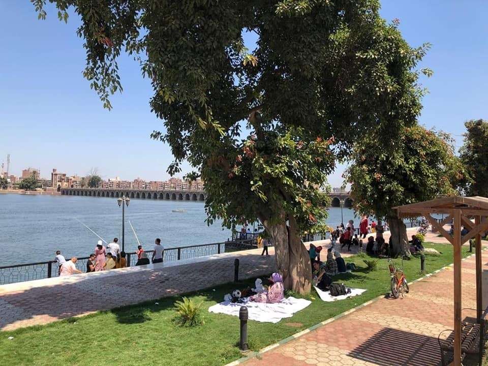 الأرصاد الجوية تعلن تفاصيل حالة الطقس في مصر حتى نهاية الأسبوع