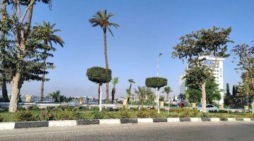 حالة الطقس اليوم الأحد.. أجواء دافئة نهارًا وشبورة مائية مع ساعات الصباح الأولى