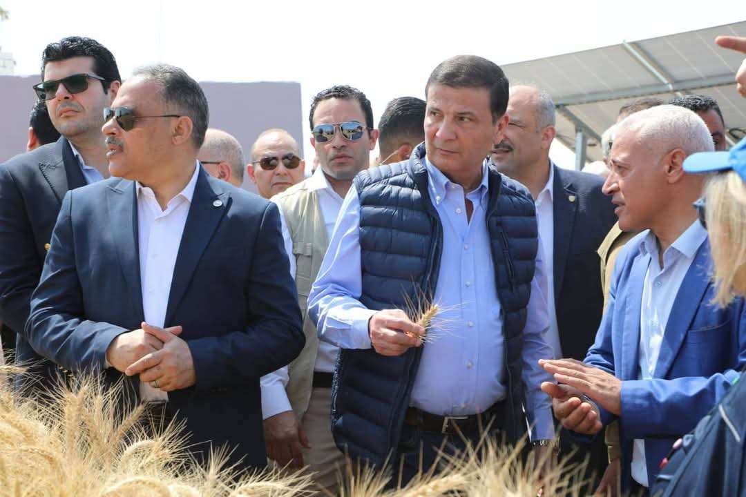 وزير الزراعة يفتتح موسم حصاد القمح بالشرقية ويشدد على دعم المزارعين
