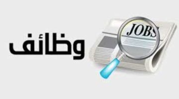 وزارة العمل تعلن عن 62 فرصة عمل لسائقي الحافلات في الخليج براتب 24 ألف جنيه