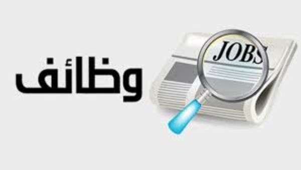 وزارة العمل تعلن عن 62 فرصة عمل لسائقي الحافلات في الخليج براتب 24 ألف جنيه