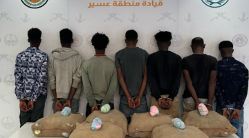 #عاجل | القبض على (7) مخالفين لنظام أمن الحدود لتهريبهم (120) كيلوجرامًا من نبات القات المخدر بمنطقة #عسير