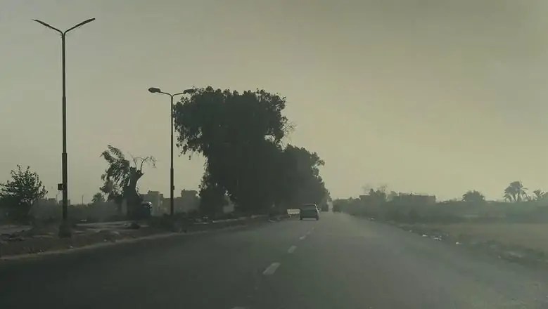 الأرصاد تعلن تفاصيل طقس السبت: حرارة نهارية وشبورة صباحية ورياح نشطة بسيناء