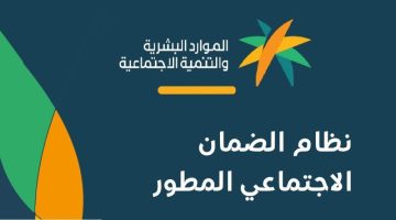طريقة إضافة تابع جديد بالضمان المطور الطريقة الرابط والشروط إلكترونيا