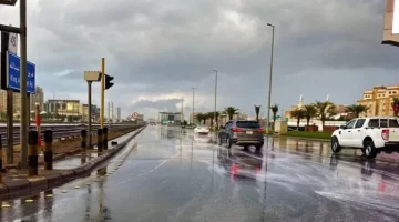 حتى الـ 7 مساءً .. تنبيه من أمطار متوسطة ورياح شديدة على منطقة #جازان