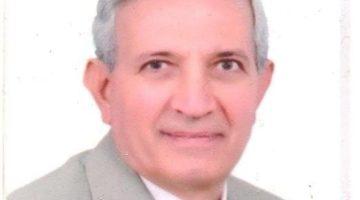 مدحت خفاجي يكتب: زراعة أجنة البقرة الهولشتين في الأبقار المصرية بدلًا من شرائها