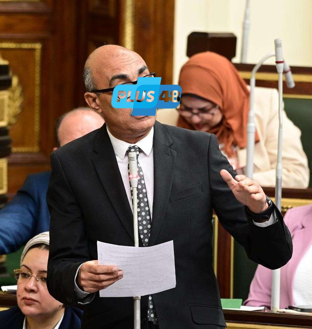 النائب إيهاب منصور يرفض إخلاء قصور الثقافة ويطالب بوقف القرار فورًا