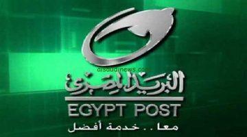 تلاعب بحسابات 7 عملاء.. إحالة مدير استعلامات البريد السابق وعدد من العاملين للتأديبية