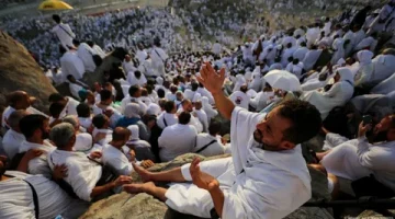 البيئة” تُعلن عن فسح 351 ألف رأس ماشية استعداداً لموسم الحج