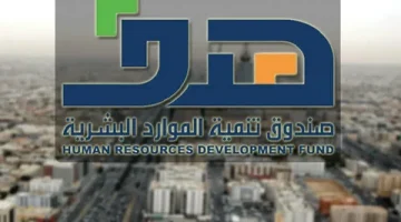ارتفاع تاريخي.. 143 ألف وظيفة جديدة في القطاع الخاص خلال الربع الأول من 2025
