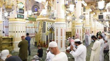 الروضة الشريفة تفتح أبواب الرحمة لحجاج مصر وزيارتها تُنبت دموع الشكر