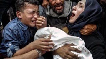 صحة فلسطين: استهداف مدرسة في غزة يودي بحياة 30 شهيدا بينهم أطفال ونساء