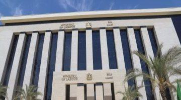 وزارة العمل: المصرى صاحب فيديو التعنيف رفض التعويض رغم تحصيل زملائه حقوقهم