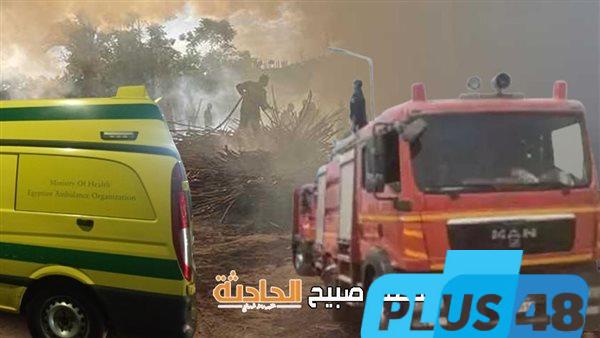 الحماية المدنية تخمد حريق مخزن أخشاب بقرية العمار بطوخ