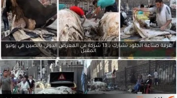 غرفة صناعة الجلود تشارك بـ 13 شركة في المعرض الدولي بالصين في يونيو المقبل