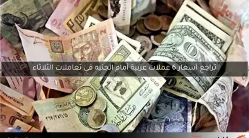 تراجع أسعار 6 عملات عربية أمام الجنيه في تعاملات الثلاثاء