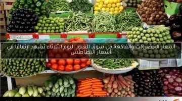 أسعار الخضروات والفاكهة في سوق العبور اليوم الثلاثاء تشهد ارتفاعًا في أسعار البطاطس