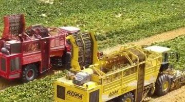 توقعات بوصول التأمين الزراعى العالمى لـ48.5 مليار دولار.. كيف تتوسع مصر فيه؟
