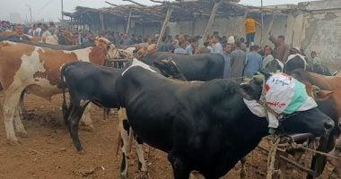 يتيح تعويضات على الماشية والدواجن.. ما هو التأمين متناهى الصغر؟