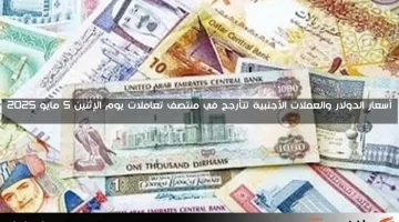 أسعار الدولار والعملات الأجنبية تتأرجح في منتصف تعاملات يوم الإثنين 5 مايو 2025