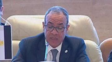 وزير الخارجية: جهود الوساطة مستمرة لوقف إطلاق النار فى غزة بالتعاون مع قطر وأمريكا