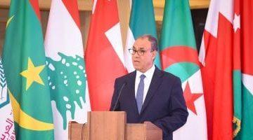 بدر عبد العاطى: مصر تمضى قدما فى المراجعة الخامسة مع صندوق النقد الدولى