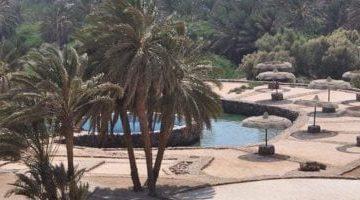 بروتوكول تعاون بين غرفة الفنادق و كلية السياحة بجامعة مدينة السادات