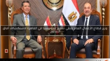 وزير قطاع الأعمال العام يلتقي سفير إندونيسيا في القاهرة لاستكشاف آفاق التعاون
