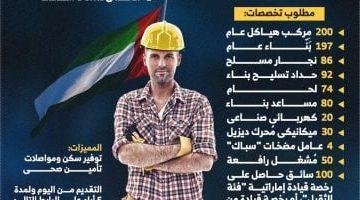 1000 وظيفة فى الإمارات ورواتب تصل إلى 4000 درهم شهريا.. رابط التقديم