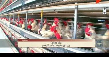 وزير الزراعة: لا وباء في الثروة الداجنة ونسب النفوق طبيعية ولا تتجاوز 6%