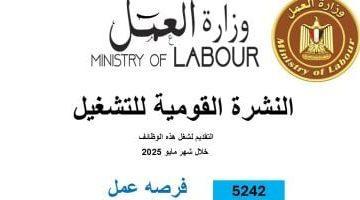 وزارة العمل: 5242 فرصة عمل جديدة فى 50 شركة خاصة بـ8 محافظات