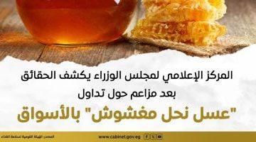 مجلس الوزراء يكشف الحقائق بعد مزاعم حول تداول “عسل نحل مغشوش” بالأسواق