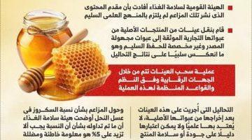 حقيقة تداول عسل نحل مغشوش بالأسواق.. الحكومة توضح “إنفوجراف”
